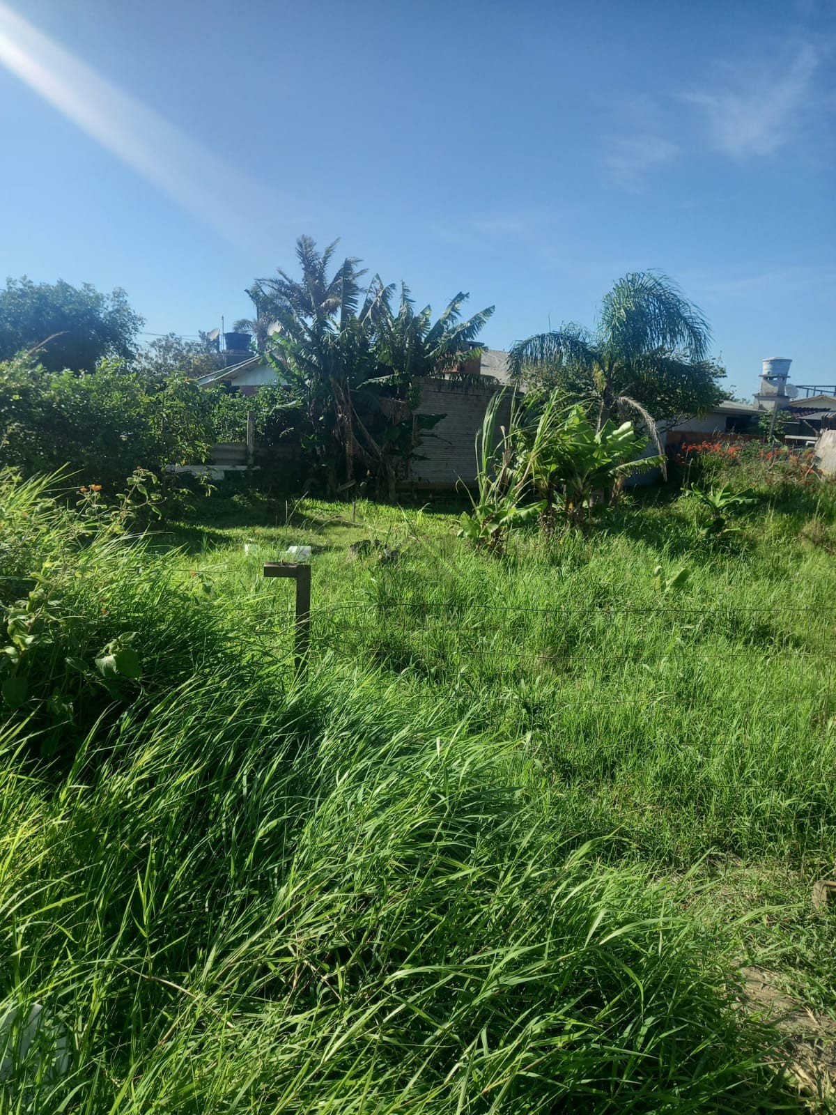 Terreno à venda, 360m² - Foto 6