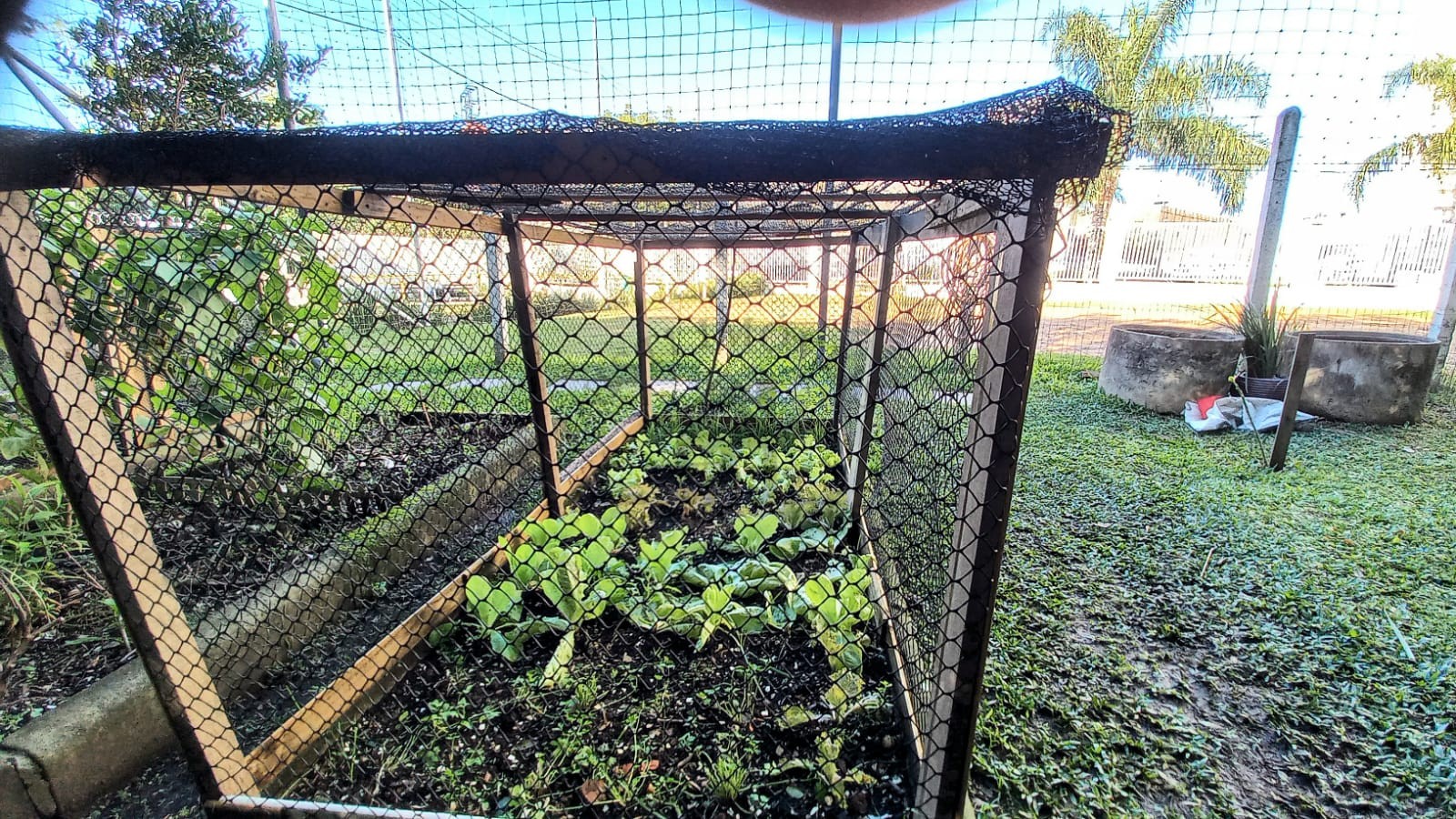 Apartamento, 3 quartos, 65 m² - Foto 30